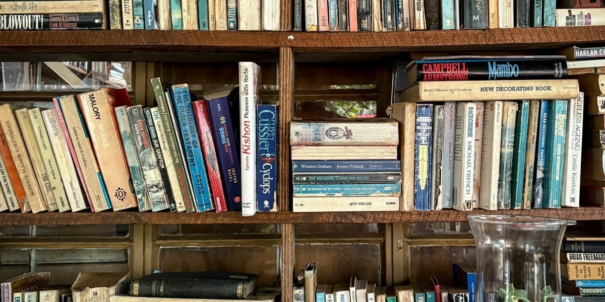 Reader browsing mature fantasy novels in a cozy nook