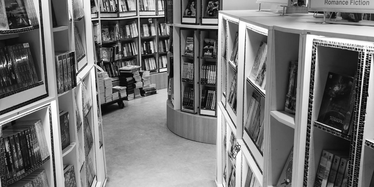 A person exploring a bookstore aisle, carefully considering different titles to find their next thrilling read.